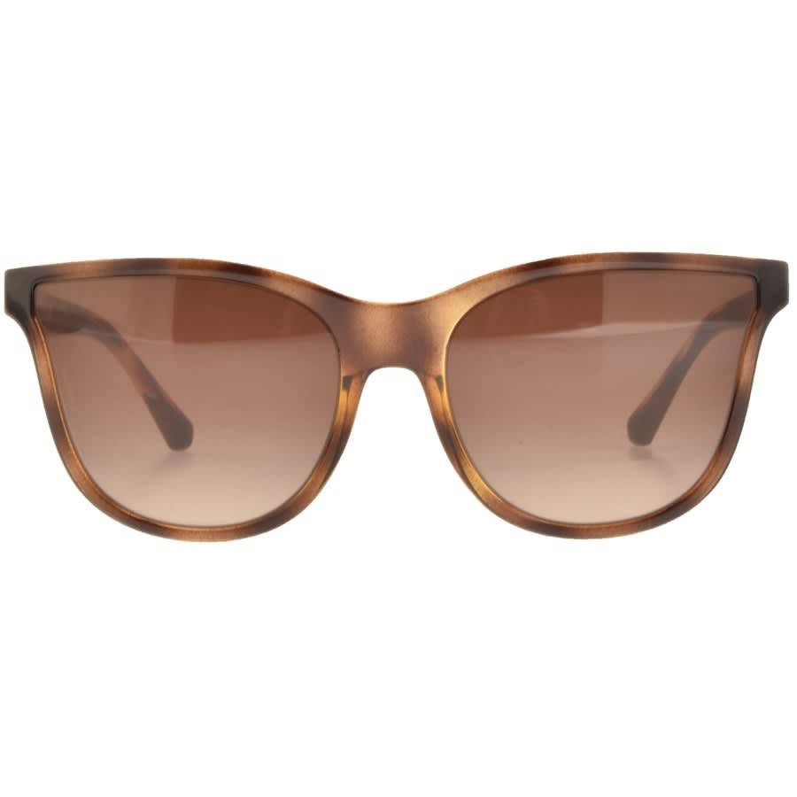 Alternative Image for ProductEmporio Armani EA4112 Sunglasses Brown2