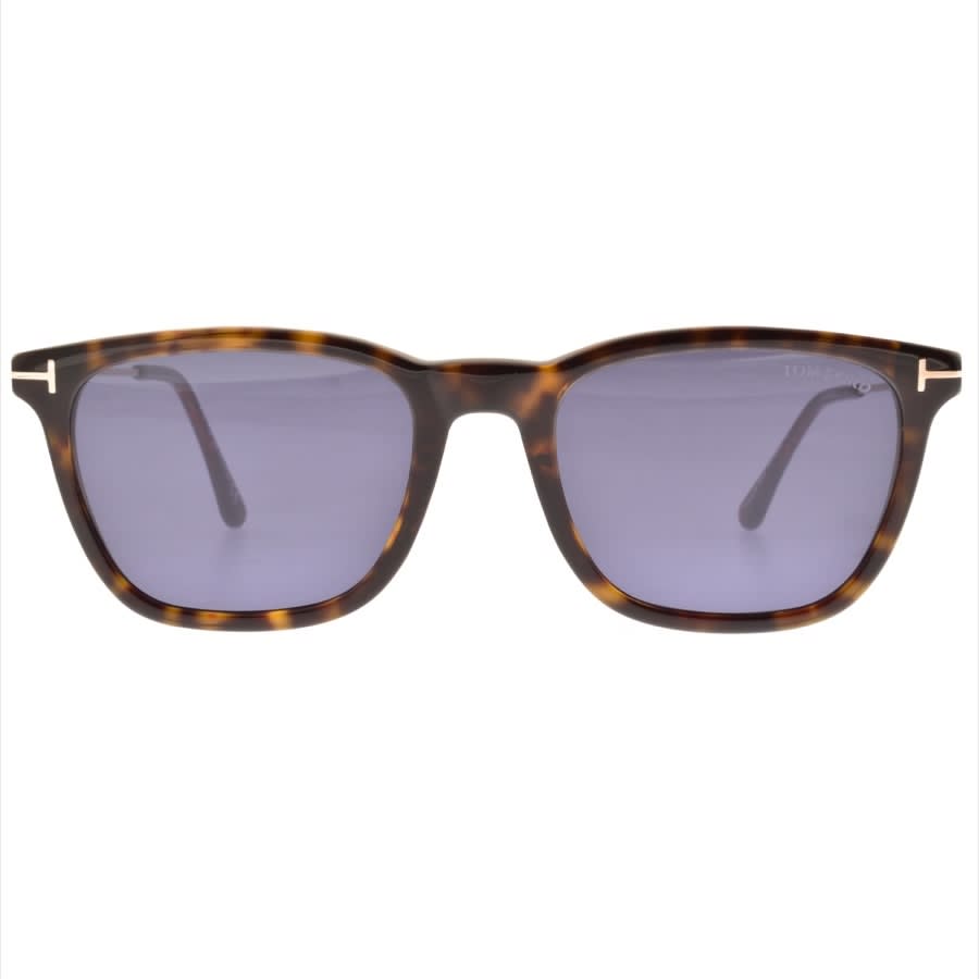 Alternative Image for ProductTom Ford Arnaud Sunglasses Brown2