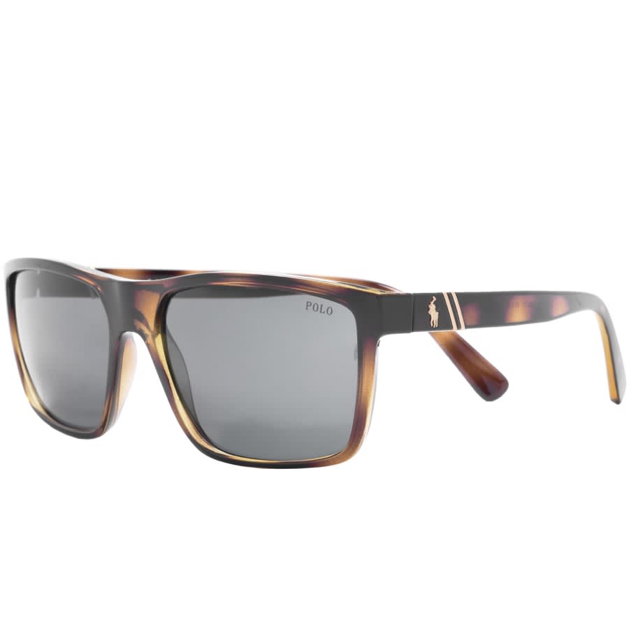 Alternative Image for ProductRalph Lauren Polo Player Sunglasses Brown1