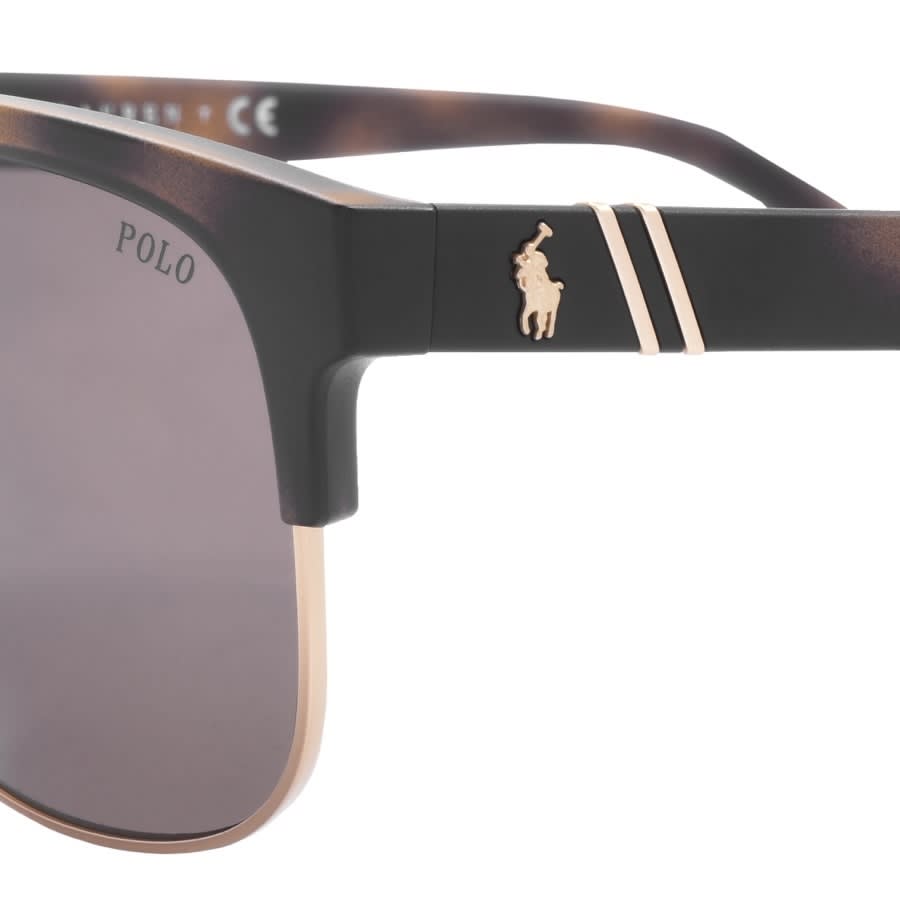 Alternative Image for ProductRalph Lauren Polo Player Sunglasses Brown3