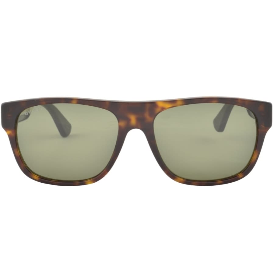 Alternative Image for ProductGucci GG0341S Sunglasses Brown2