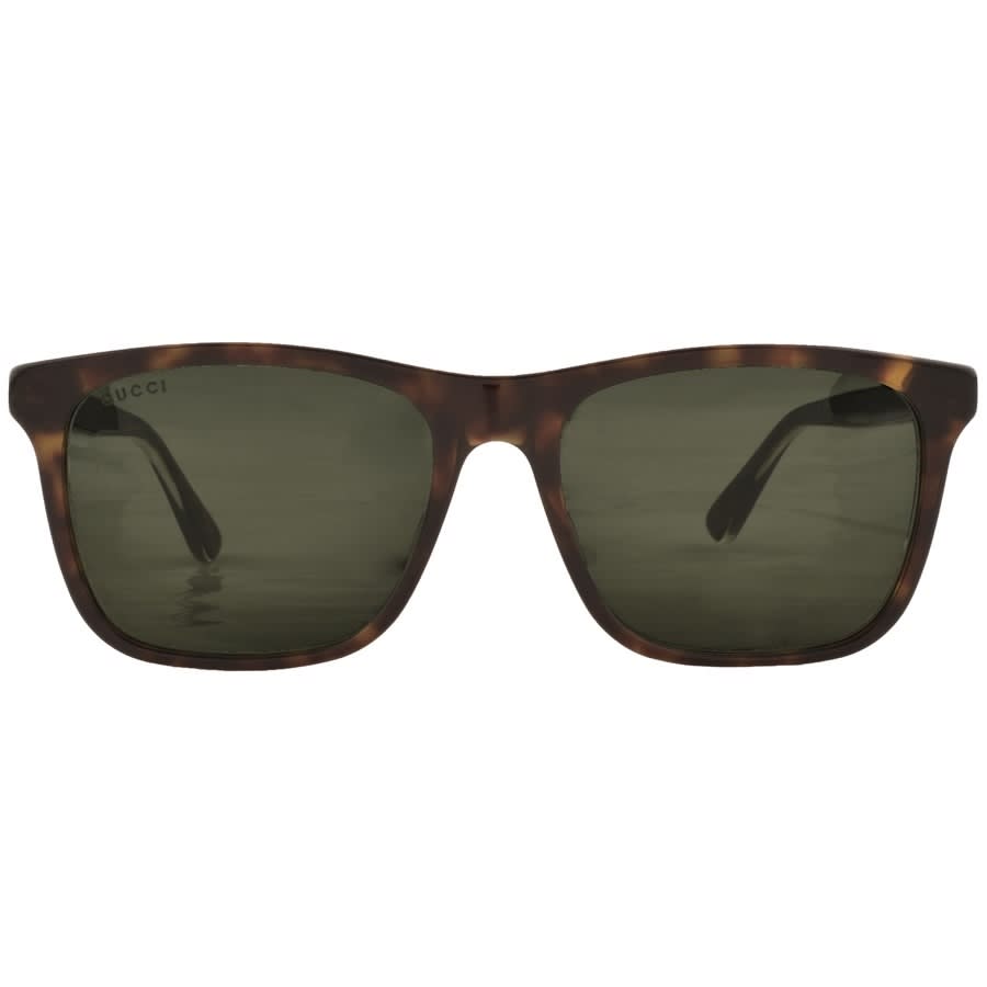Alternative Image for ProductGucci GG0381S 008 Sunglasses Brown2