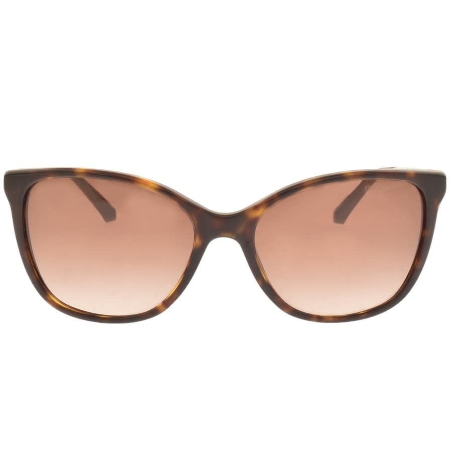 Alternative Image for ProductEmporio Armani EA4025 Sunglasses Brown2