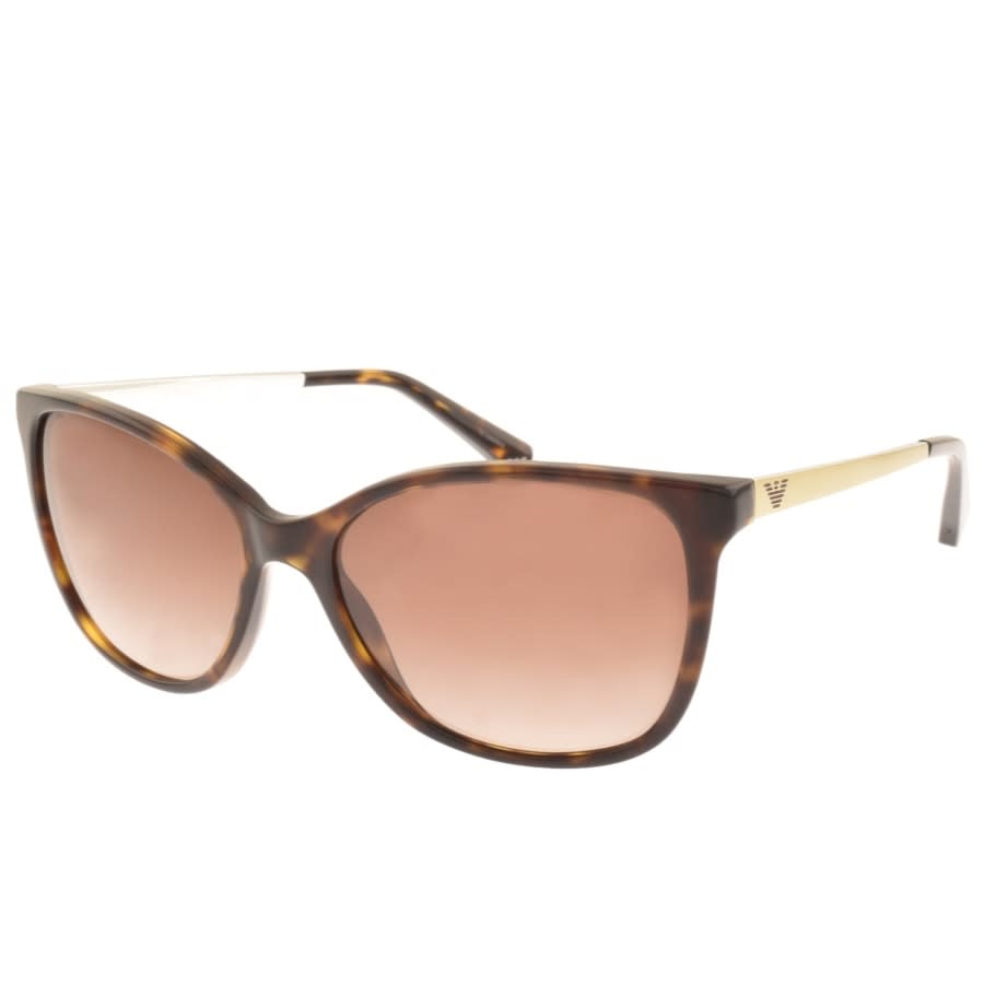 Alternative Image for ProductEmporio Armani EA4025 Sunglasses Brown1