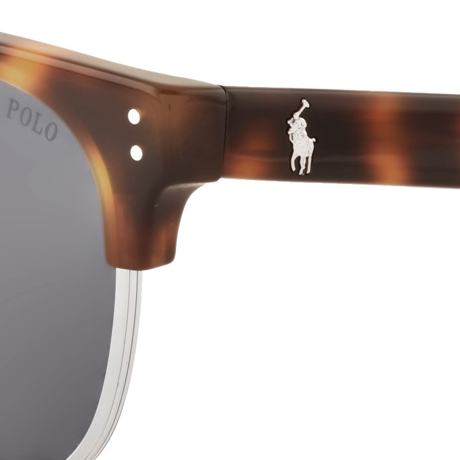 Alternative Image for ProductRalph Lauren Polo Player Sunglasses Brown3