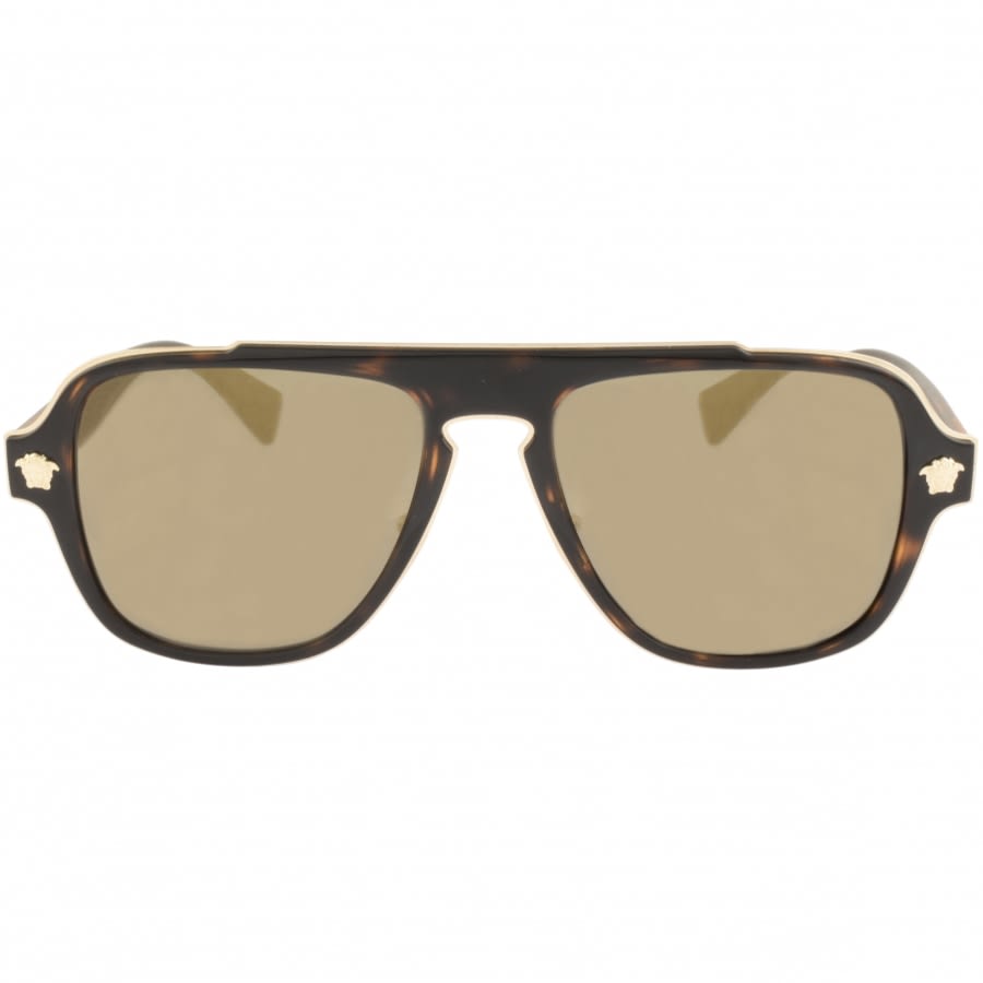 Alternative Image for ProductVersace Medusa Charm Sunglasses Brown2