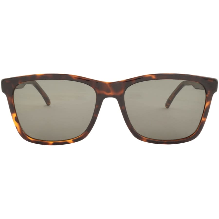 Alternative Image for ProductSaint Laurent 318 002 Sunglasses Brown2