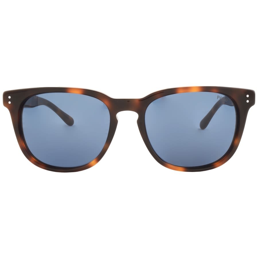 Alternative Image for ProductRalph Lauren Polo Player Sunglasses Brown2
