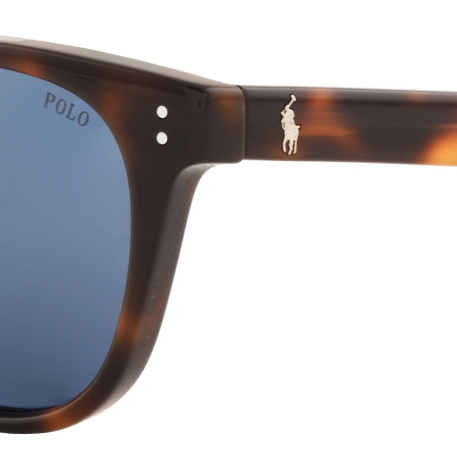 Alternative Image for ProductRalph Lauren Polo Player Sunglasses Brown3