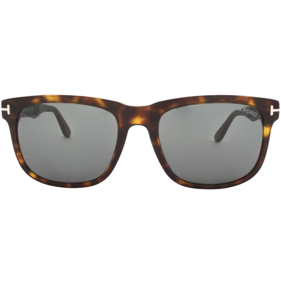 Alternative Image for ProductTom Ford Stephenson Sunglasses Brown2