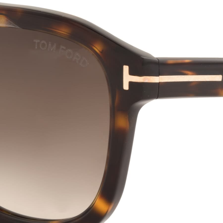 Alternative Image for ProductTom Ford Gerrard Sunglasses Brown3
