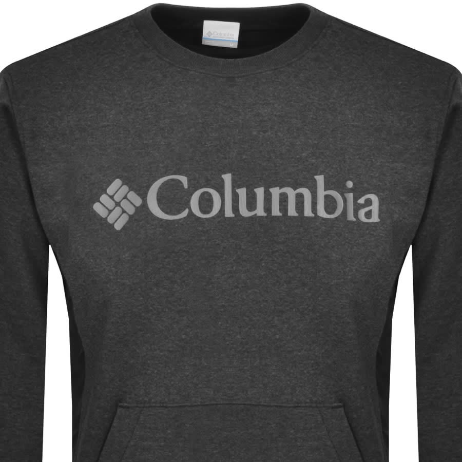 Alternative Image for ProductColumbia River Logo Sweatshirt Grey2