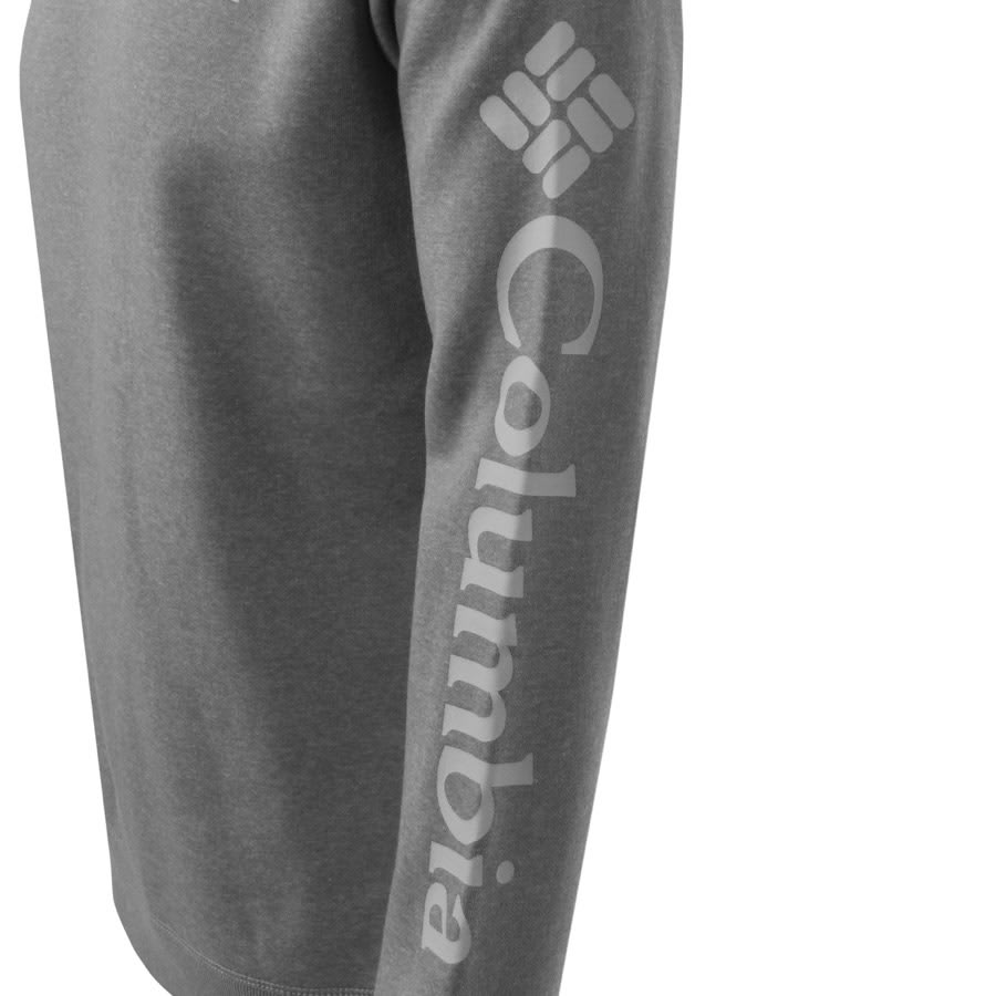 Alternative Image for ProductColumbia Fleece Logo Sweatshirt Grey3