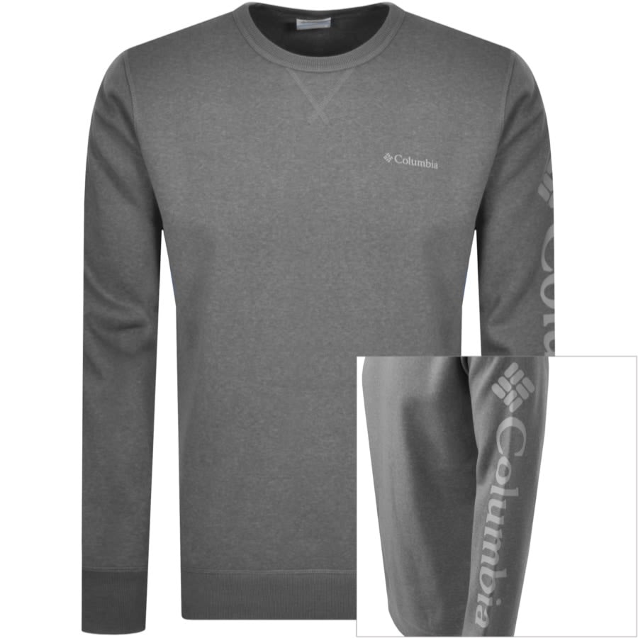 Alternative Image for ProductColumbia Fleece Logo Sweatshirt Grey1