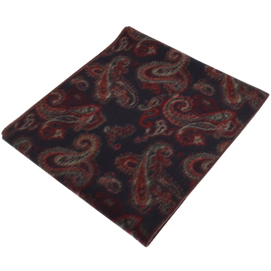Alternative Image for ProductTed Baker Paisley Printed Scarf Navy3