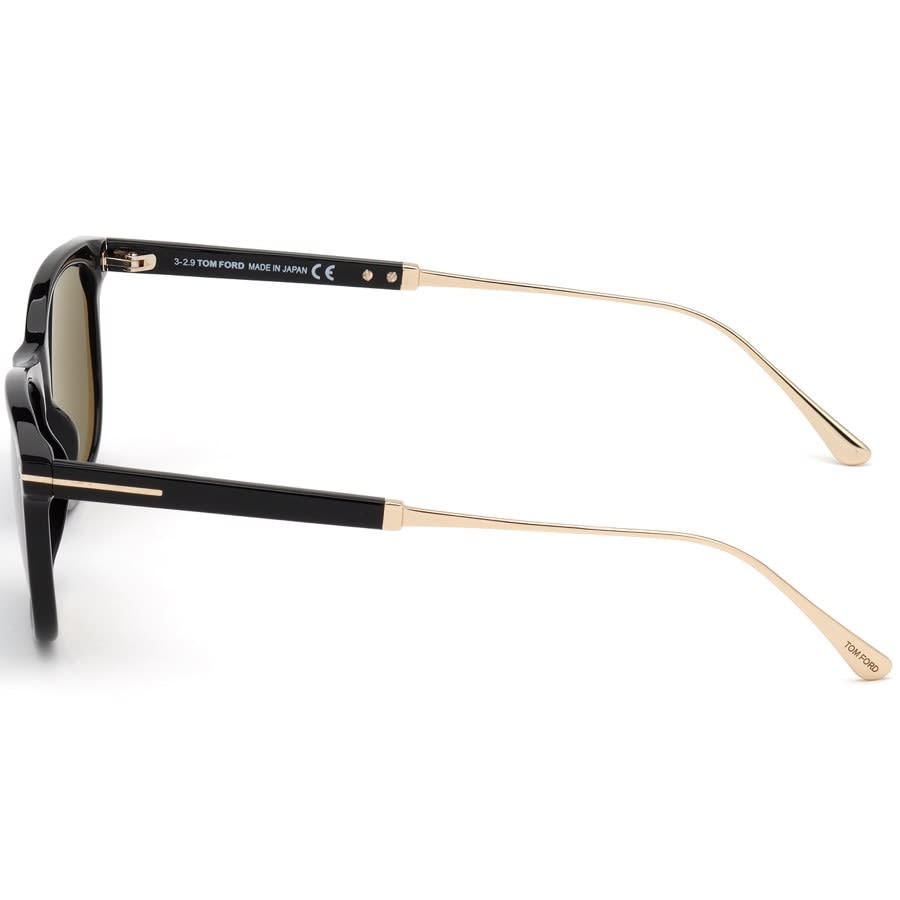 Alternative Image for ProductTom Ford FT0813 Sunglasses Black2