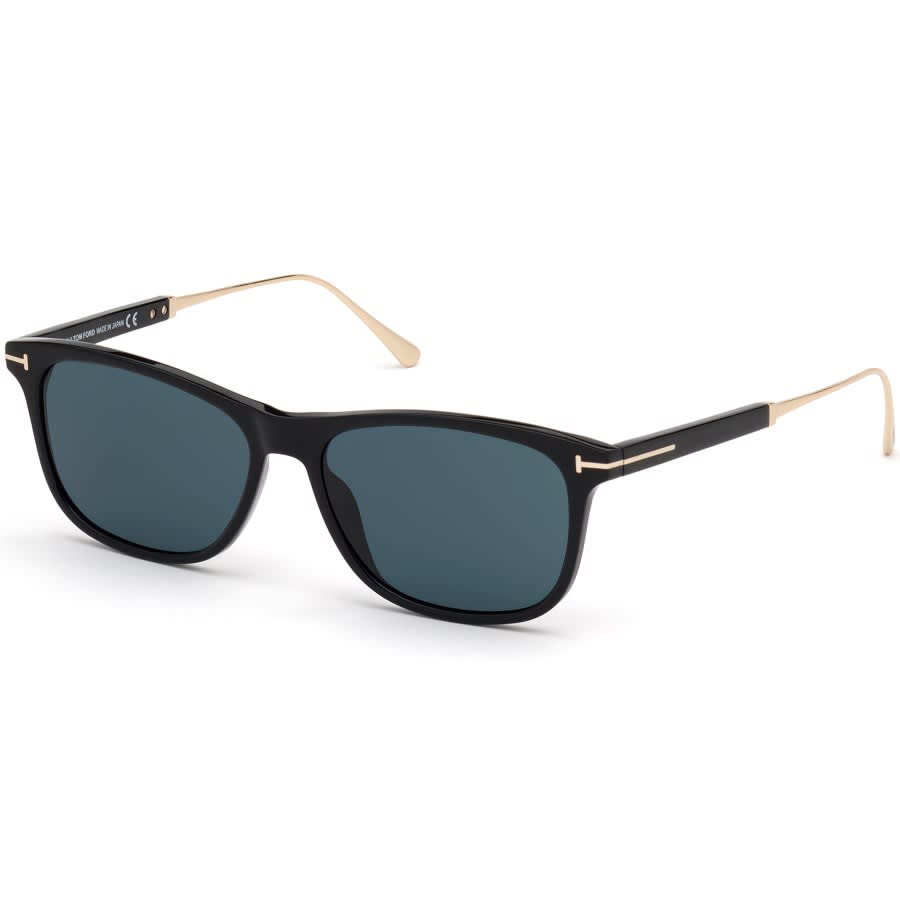 Alternative Image for ProductTom Ford FT0813 Sunglasses Black1