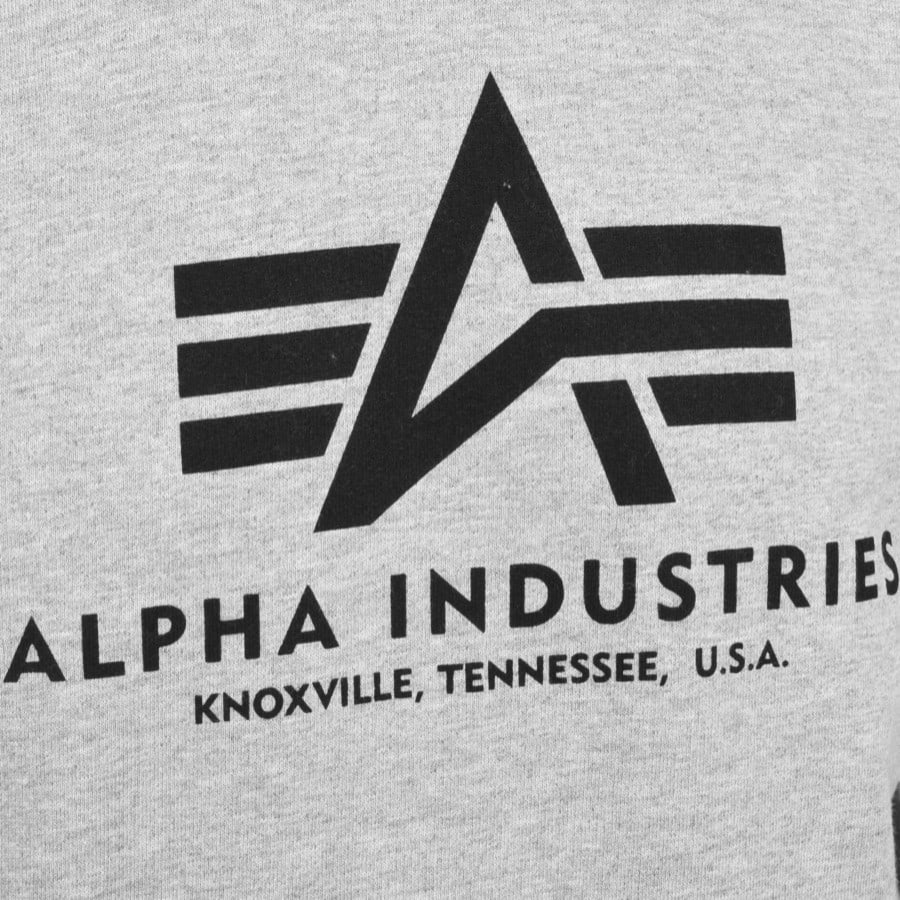 Alternative Image for ProductAlpha Industries Basic Hoodie Grey3