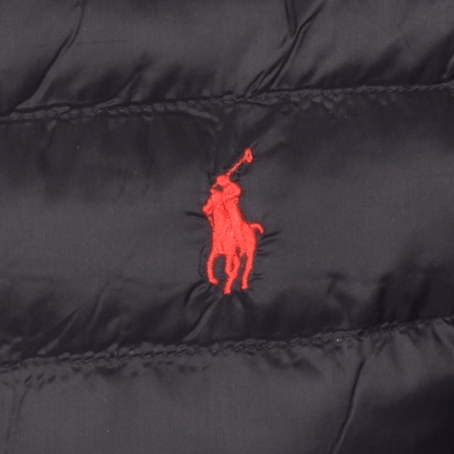Alternative Image for ProductRalph Lauren Padded Jacket Black3