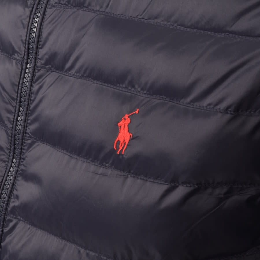 Alternative Image for ProductRalph Lauren Padded Jacket Navy3
