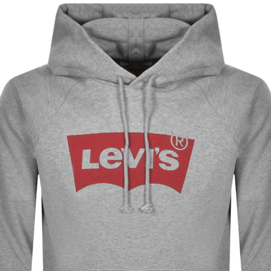 Alternative Image for ProductLevis Photo Logo Sport Hoodie Grey2