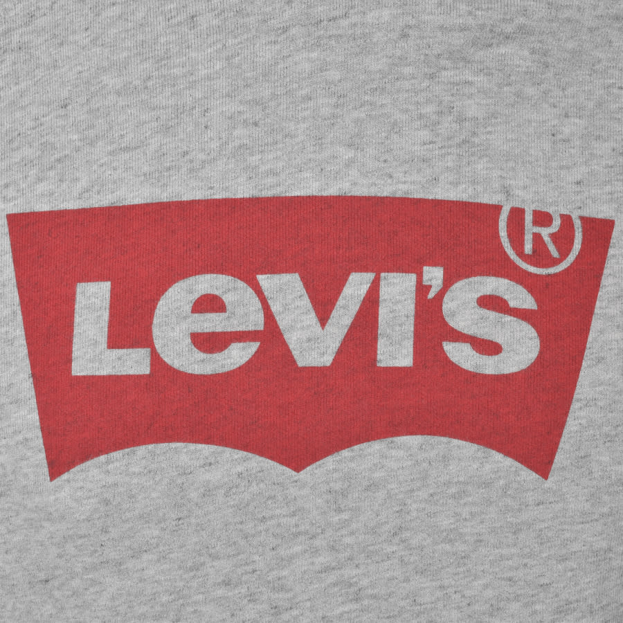 Alternative Image for ProductLevis Photo Logo Sport Hoodie Grey3