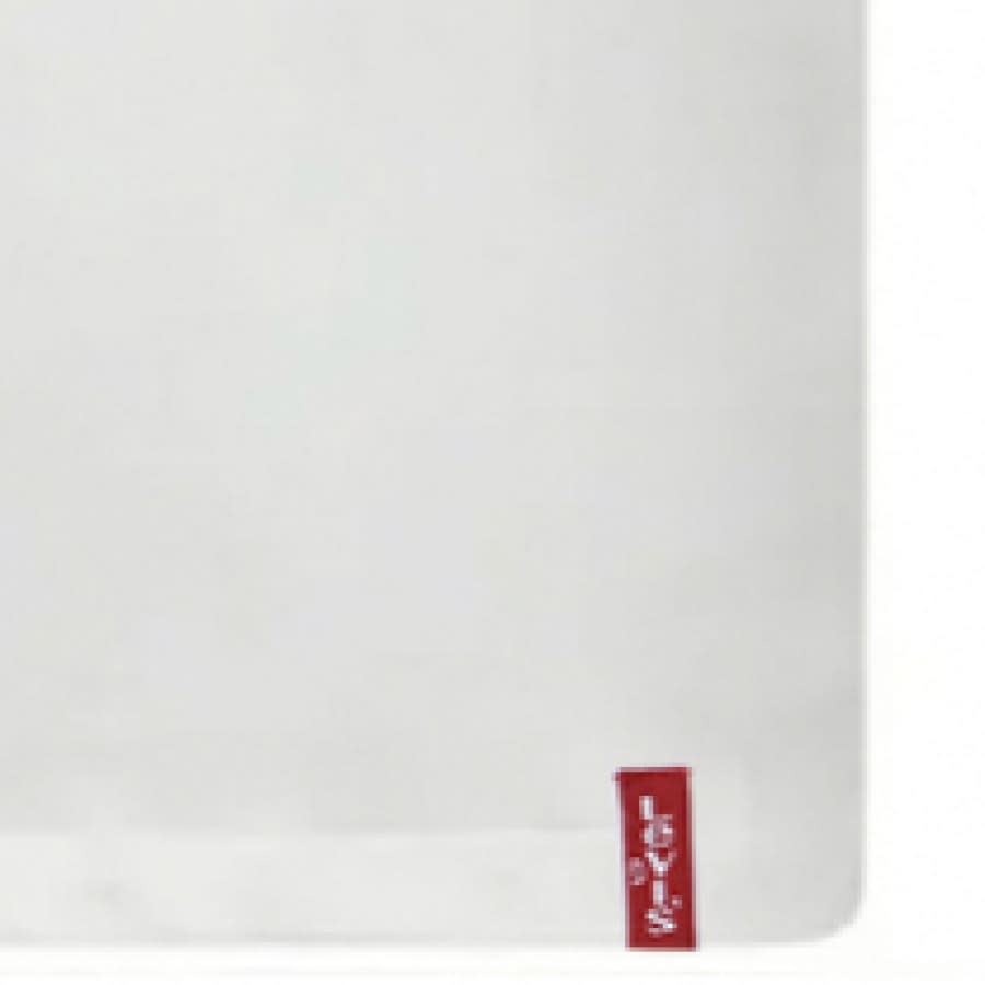 Alternative Image for ProductLevis Original Two Pack Crew Neck T Shirt White3
