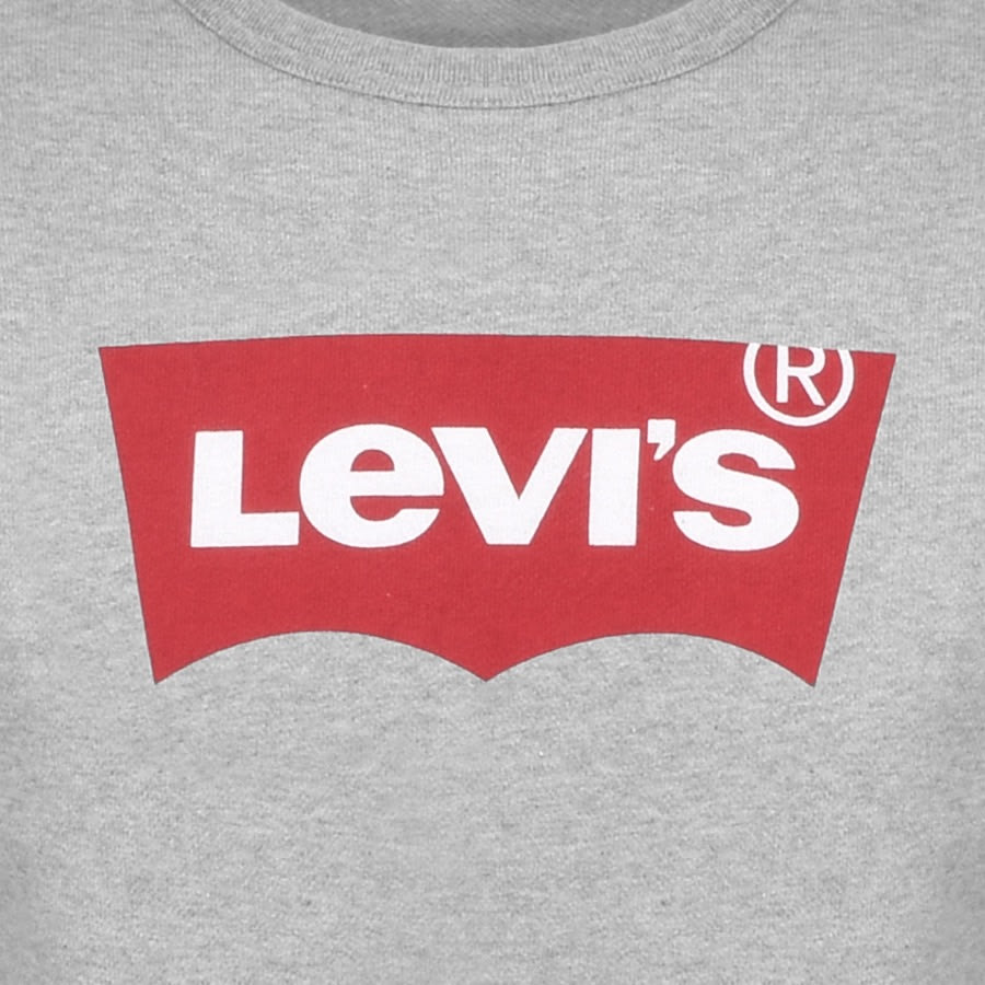 Alternative Image for ProductLevis Photo Crew Neck Sweatshirt Grey3