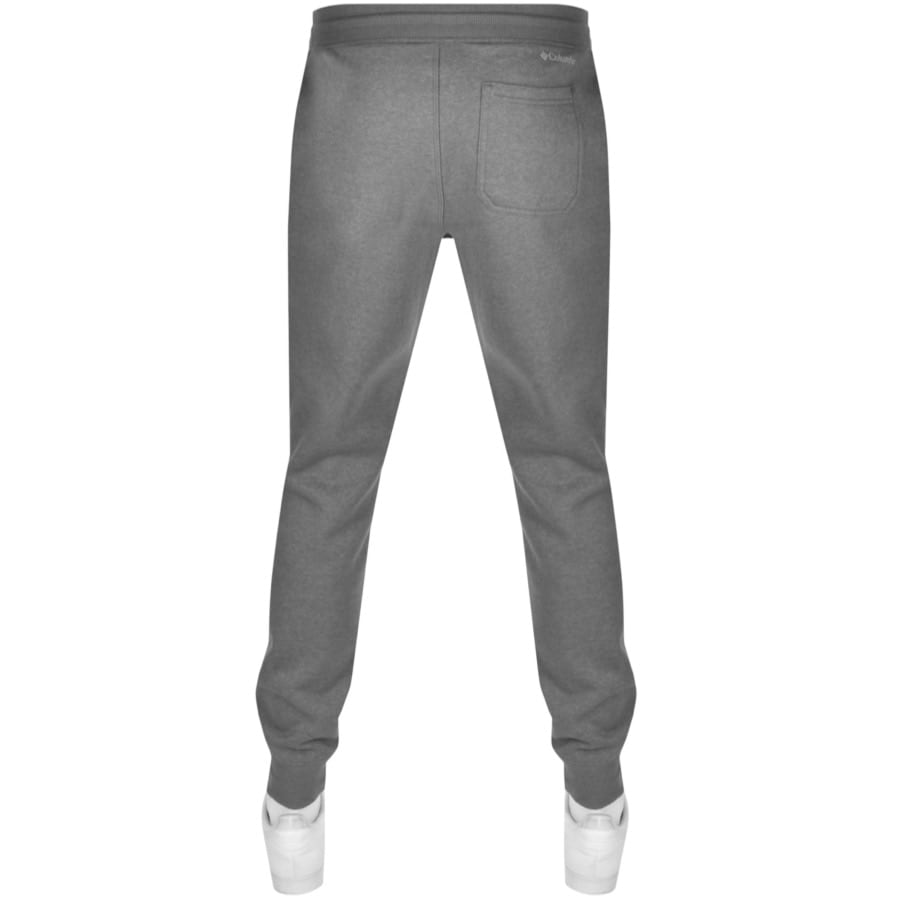 Alternative Image for ProductColumbia Logo Fleece Joggers Grey2