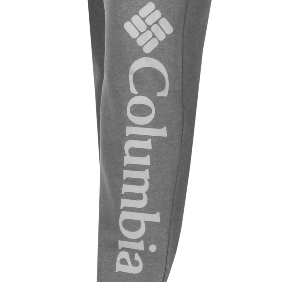 Alternative Image for ProductColumbia Logo Fleece Joggers Grey3