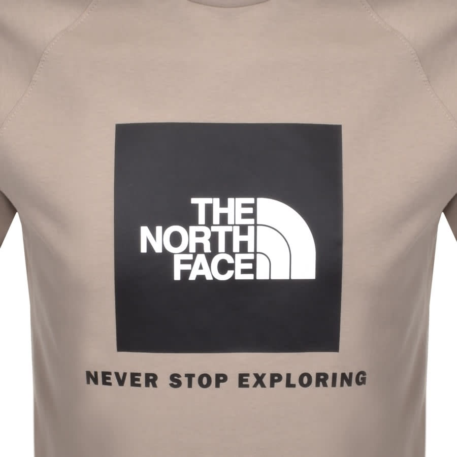 Alternative Image for ProductThe North Face Raglan Redbox T Shirt Grey3