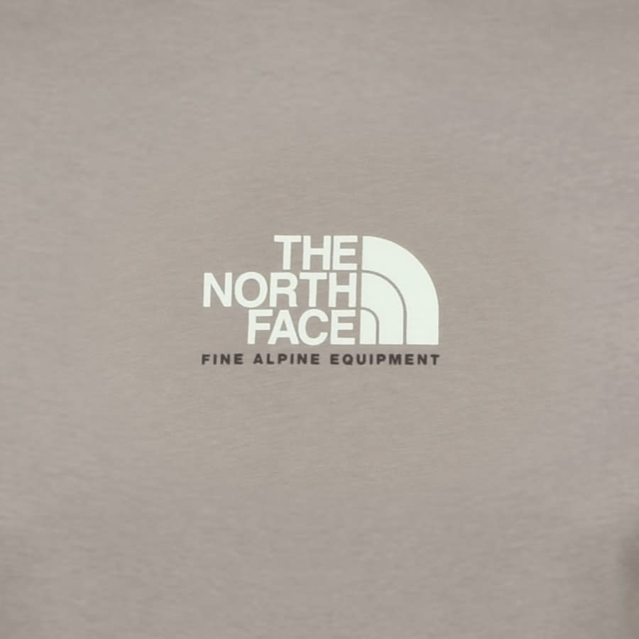 Alternative Image for ProductThe North Face Fine Alpine T Shirt Grey3