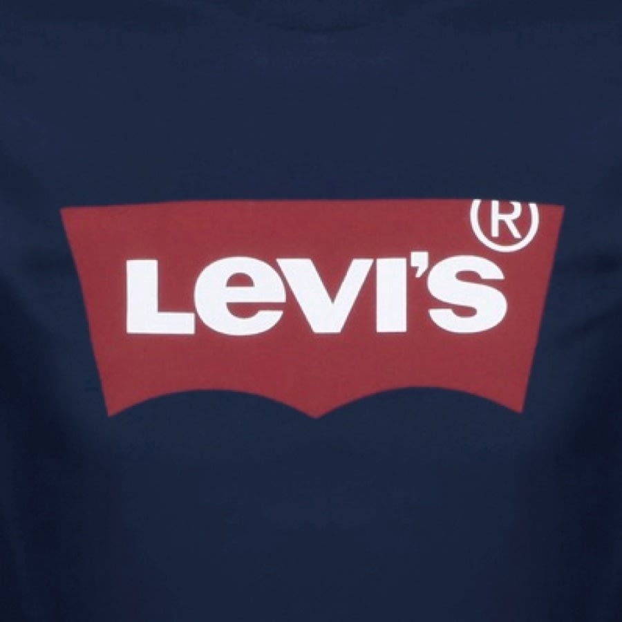 Alternative Image for ProductLevis Logo T Shirt Blue3