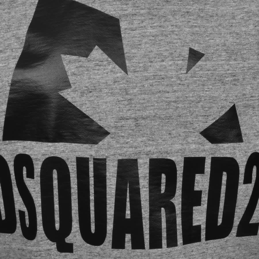 Alternative Image for ProductDSQUARED2 Leaf Logo Hoodie Grey3