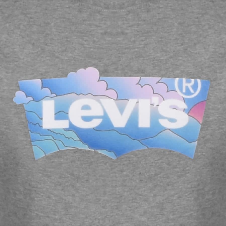 Alternative Image for ProductLevis Crew Neck Housemark Logo T Shirt Grey3