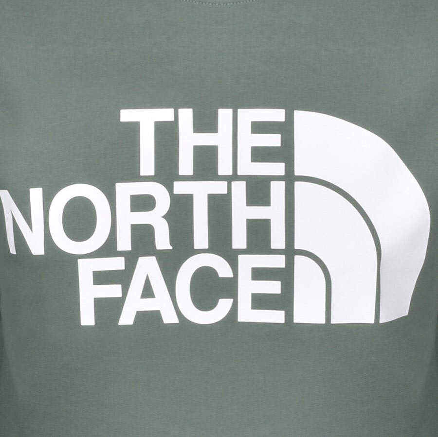 Alternative Image for ProductThe North Face Standard Crew Neck Sweatshirt Green3