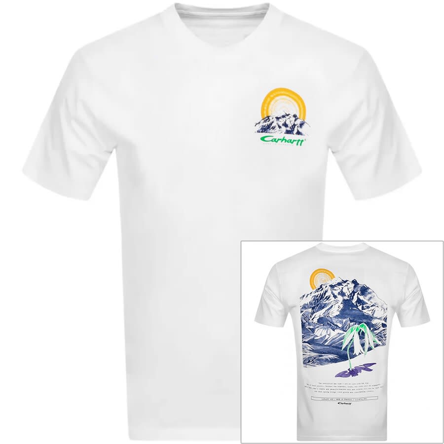 carhartt mountain t shirt
