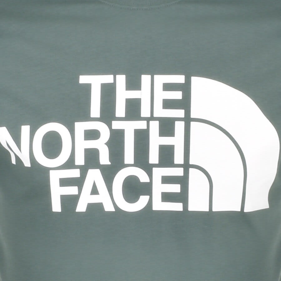 Alternative Image for ProductThe North Face Standard T Shirt Green3