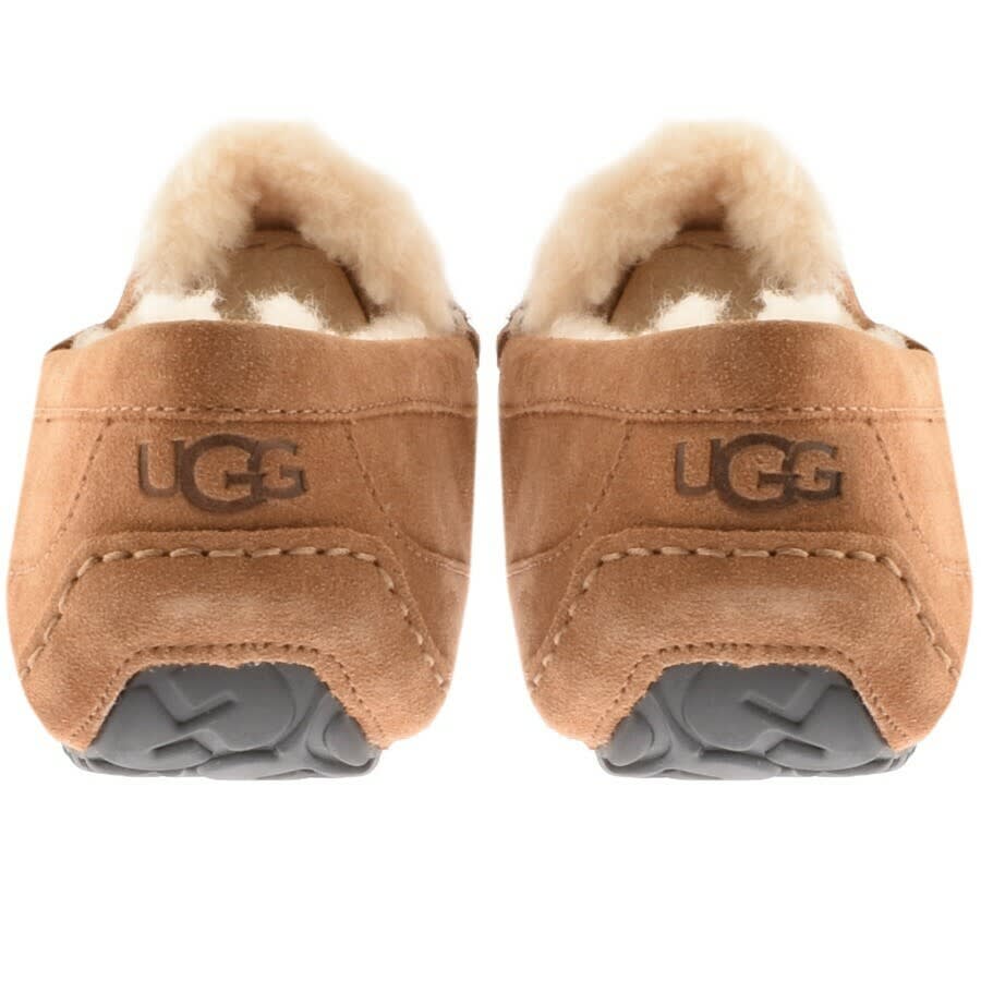 Alternative Image for ProductUGG Ascot Slippers Brown3