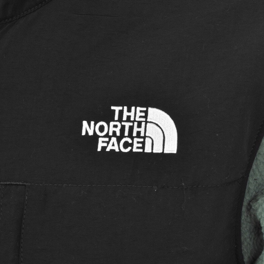 Alternative Image for ProductThe North Face Denali 2 Anorak Jacket Green3