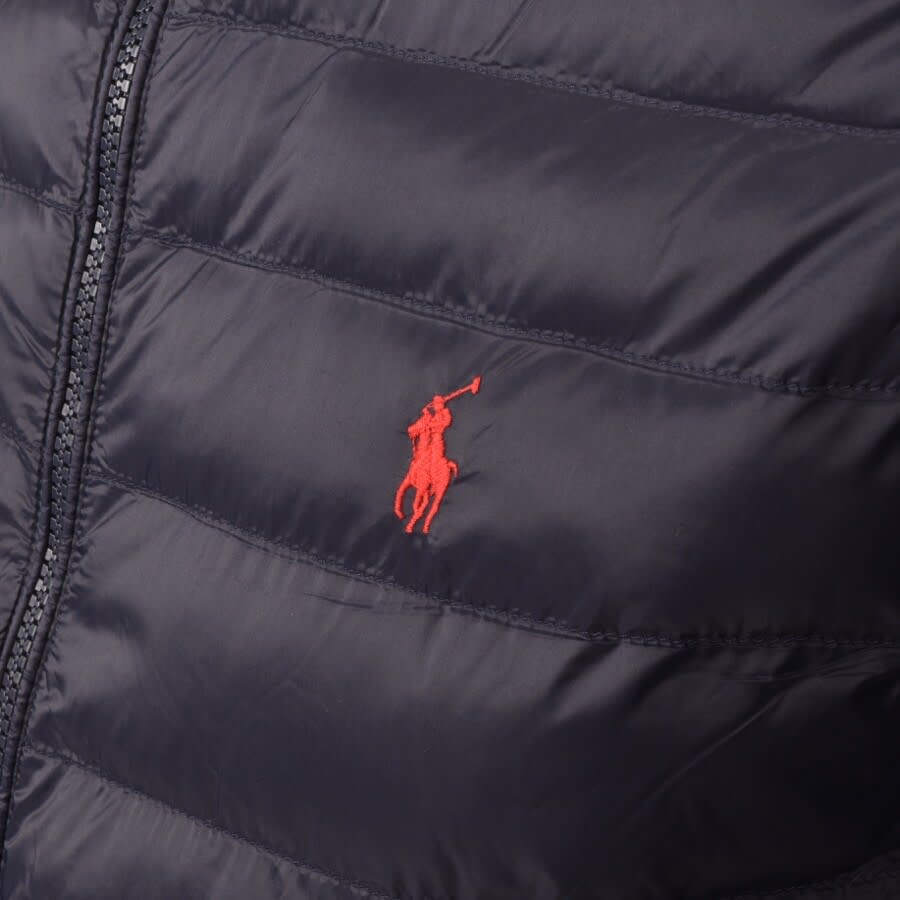 Alternative Image for ProductRalph Lauren Padded Jacket Navy3