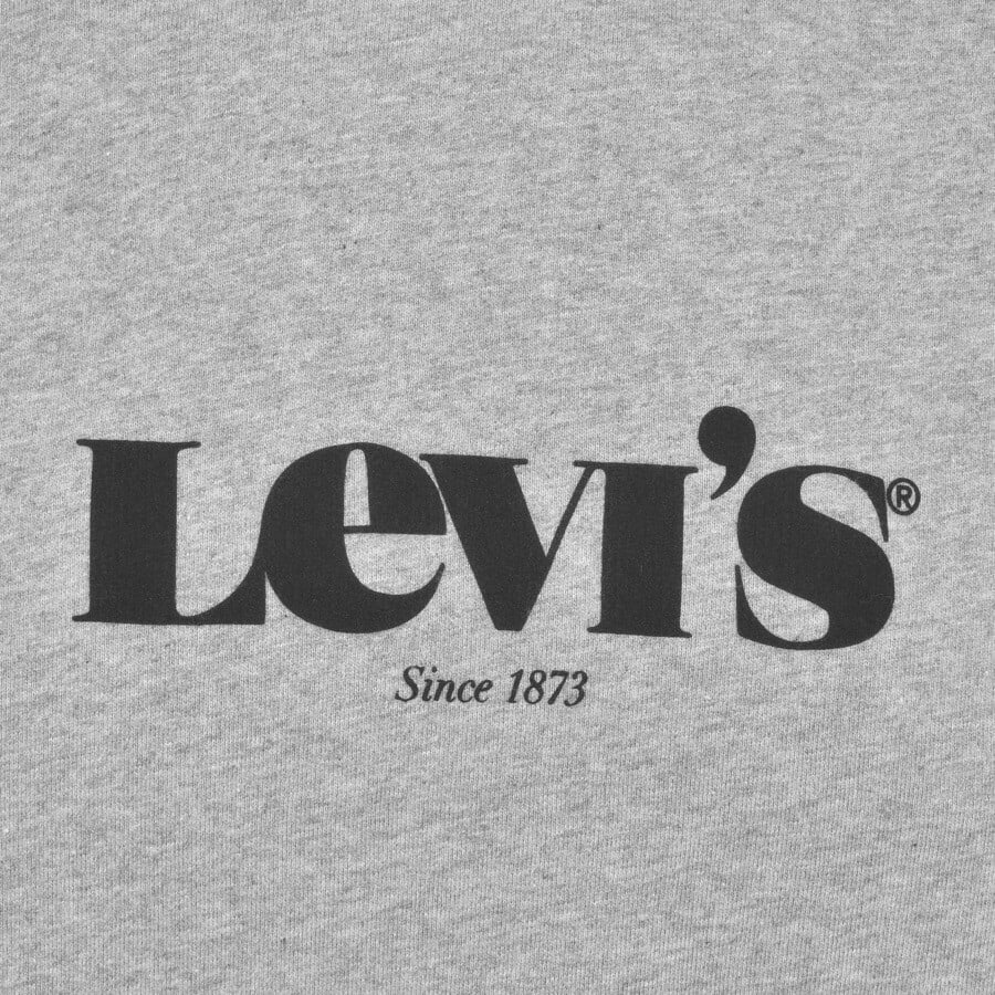 Alternative Image for ProductLevis Original Logo Hoodie Grey3