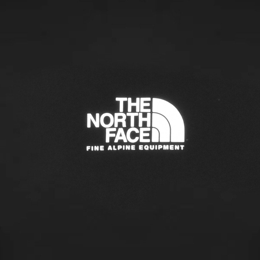 Alternative Image for ProductThe North Face Fine Alpine T Shirt Black3