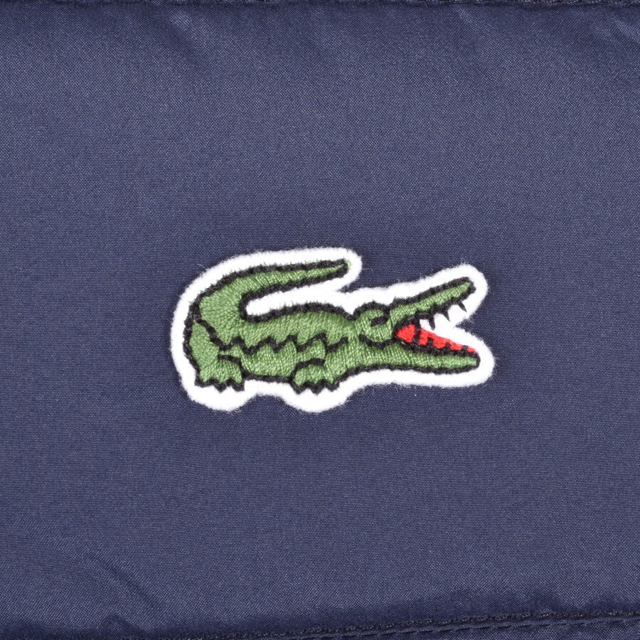 Alternative Image for ProductLacoste Padded Logo Jacket Navy3