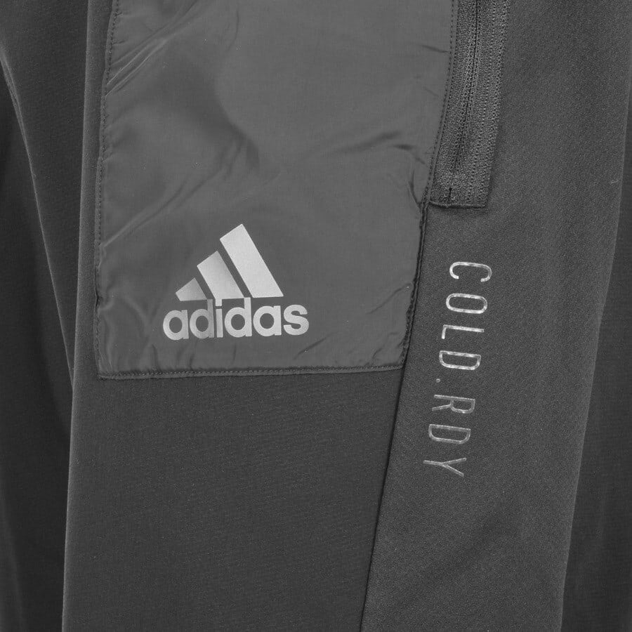 cold rdy training joggers