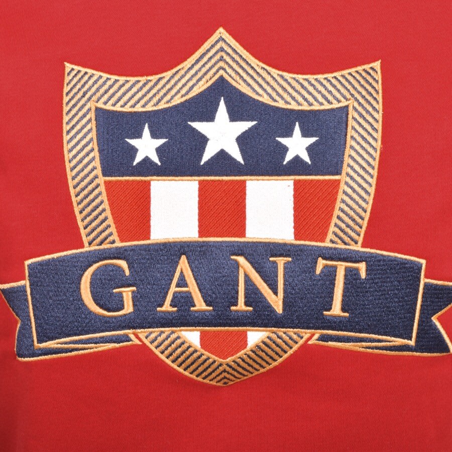 Alternative Image for ProductGant Banner Shield Hoodie Red3