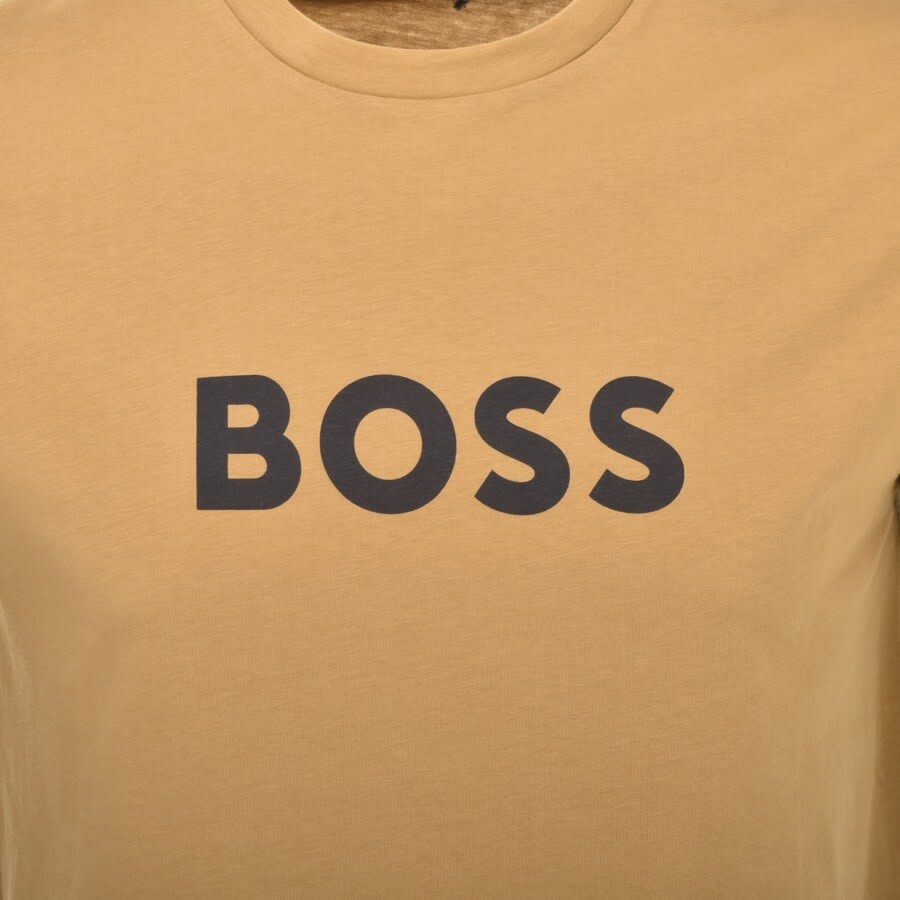 Alternative Image for ProductBOSS UV Protection T Shirt Brown3