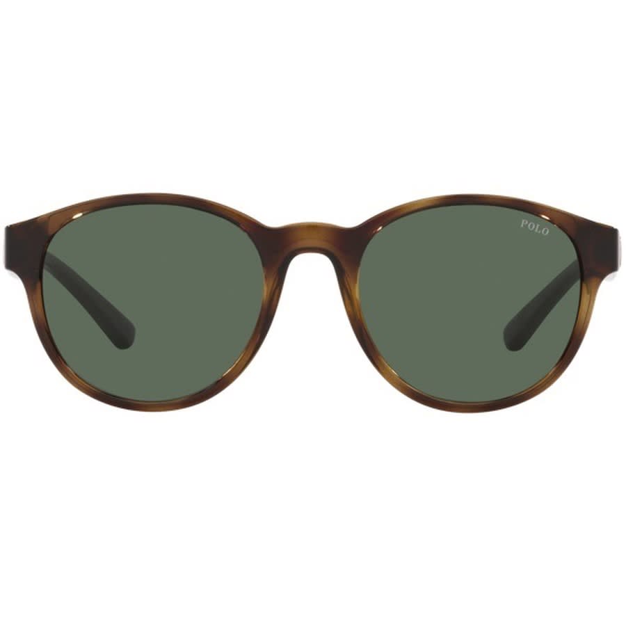 Alternative Image for ProductRalph Lauren Polo Player Sunglasses Brown2