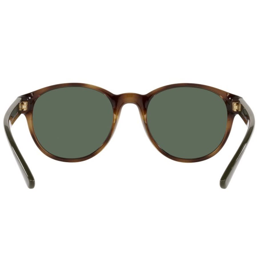 Alternative Image for ProductRalph Lauren Polo Player Sunglasses Brown3