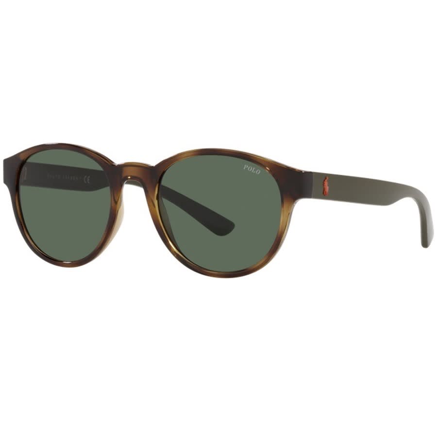 Alternative Image for ProductRalph Lauren Polo Player Sunglasses Brown1
